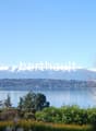 garden with lake view, snow-covered mountains in the distance