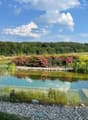Lush green landscape with a pond, surrounded by colorful flowers and plants. The pond is reflecting the blue sky and clouds above. There appears to be a small stone wall or border around the pond, and the ground is covered in pebbles.