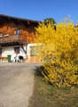Listing picture