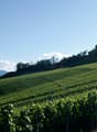 Vue depuis le terrain