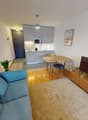 Combined living and dining room with modern furniture, a blue couch, a dining table, a flat screen TV, a wooden flooring, and a picture frame on the wall