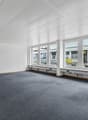 empty room, white walls, grey flooring, large windows