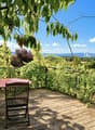 Sonnige Terrasse zwischen den Reben