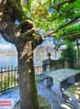 Scenic outdoor seating area with a large tree, stone bench, and wrought iron fence overlooking a lake or body of water with mountains in the background