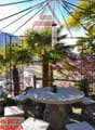 Outdoor terrace with seating area, table, pergola, palm trees, mountainous background, scenic landscape