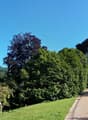 Large historic mansion with a tower, surrounded by lush greenery and a well-manicured garden with a paved walkway leading to the entrance.