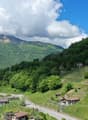 Immagine dell’oggetto