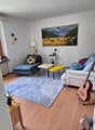living room with two couches, coffee table, side table, rug, guitar, painting, lamp, radiator