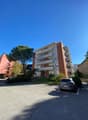 Immagine dell’oggetto