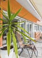 Listing picture