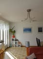 open space living room with dining room, hardwood floor, windows, sofa, dining table, radiators, light fixture, paintings, plant, speaker, heaters, radiator
