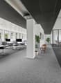 modern office with white desks, office chairs, large windows, carpet flooring, large potted plants, bench, counter with stools, white and black walls