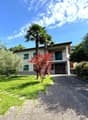 Two-story house with green exterior, large windows, balconies, surrounded by lush greenery including palm trees and other vegetation. Gravel driveway leading to the house.