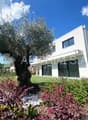 Two-story modern white house with large windows, surrounded by a well-maintained garden with an olive tree and colorful flowers.