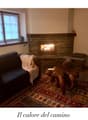 Cozy living room with a stone fireplace, large windows, and a patterned rug on the floor. The room has a comfortable sofa and some decorative elements.