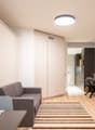 Open-plan living room and kitchen area, with a gray sofa, a dining table, and built-in storage cabinets. The room has hardwood floors and a striped area rug. There is a dishwasher visible in the kitchen area.