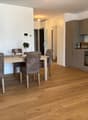 The image shows an open-plan living room and kitchen area with a dining table and chairs. The kitchen features gray cabinets and appliances, including a dishwasher. The living room has a wooden dining table with chairs, and there are potted plants on the