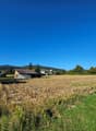 A harvested field, with patches of soil and grass, surrounded by trees and a road, and a small building in the distance.