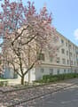 Liegenschaft