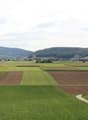 Blick aus dem Wohnzimmer