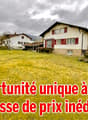 Immagine dell’oggetto