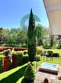 Vue du la terrasse