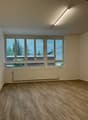 Empty room with large windows, hardwood-style flooring, and a radiator on the wall.