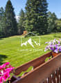 wooden balcony, lush lawn, purple and pink flowers, green trees, mountains