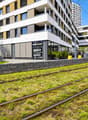 perfekte Sichtbarkeit: Shop mit Limmattalbahn vor der Tür