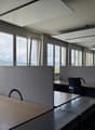 modern office with desks, chairs, lamps, large windows, gray walls, wooden floors