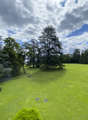 6ef593d2-f140-4460-86a8-be1e7ac6966e.png
