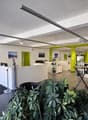Local commercial, 427.00 m2
