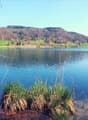 lake, green grass, trees, mountains