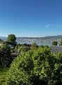 View of the city from the garden, trees, mountain, lake, buildings in the distance.