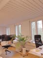 An office with desks, chairs, monitors, a potted plant, and a shelf with books and other items.