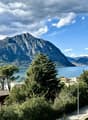 Immagine dell’oggetto