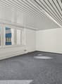 white walls, carpeted floor, large windows, radiators