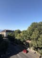 IMG_1919.jpeg
