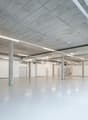 large empty room, white walls, industrial ceiling, concrete floors, several doors, fluorescent ceiling lights
