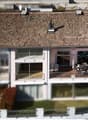 Aerial view of a modern house with a brown roof, glass windows, and balconies.
