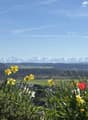 9207_4.5-Zimmer-Terrassenwohnung_2553_Safnern