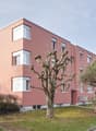 Bild_Haus_Marchbachstrasse.png