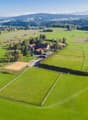 Gestüt Bommerten mit Weiden