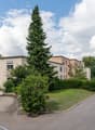 Garageneinfahrt