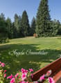 The image shows a scenic outdoor view from a balcony or terrace. The foreground features a wooden railing with colorful pink and purple flowers. Beyond the railing is a large, well-maintained lawn surrounded by tall pine trees. The sky is clear and blue,