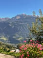 Listing picture
