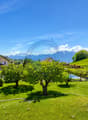 Listing picture