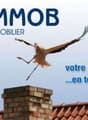 The image shows the logo and branding of a real estate company called 'VALIMMOB Courtage Immobilier'. The logo features a bird of prey in flight, likely an eagle or falcon, against a backdrop of a tiled roof. The text below the logo states 'votre immobili