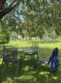 Jardin joliment arboré / Wunderschöner Garten / Beautifully planted garden / ???????? ???