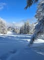 Paysage hivernal